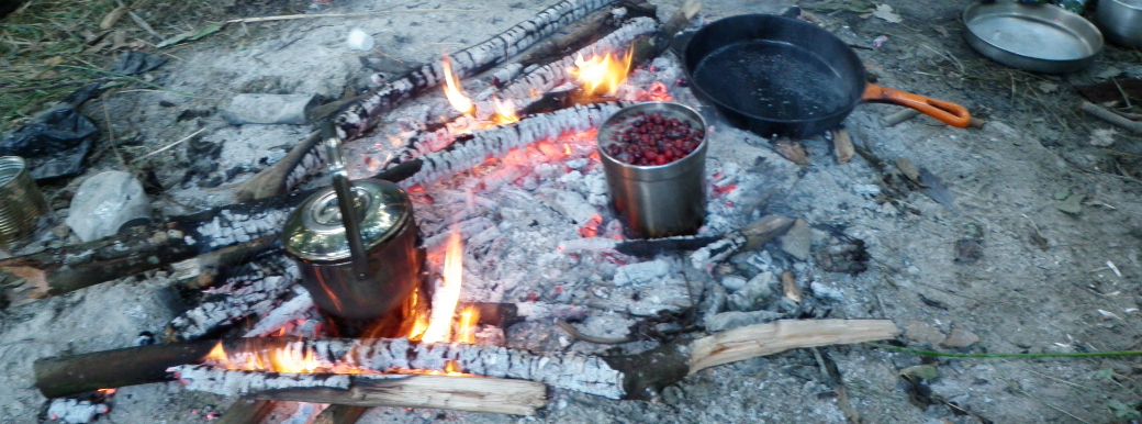 traditional cooking fire burning wood